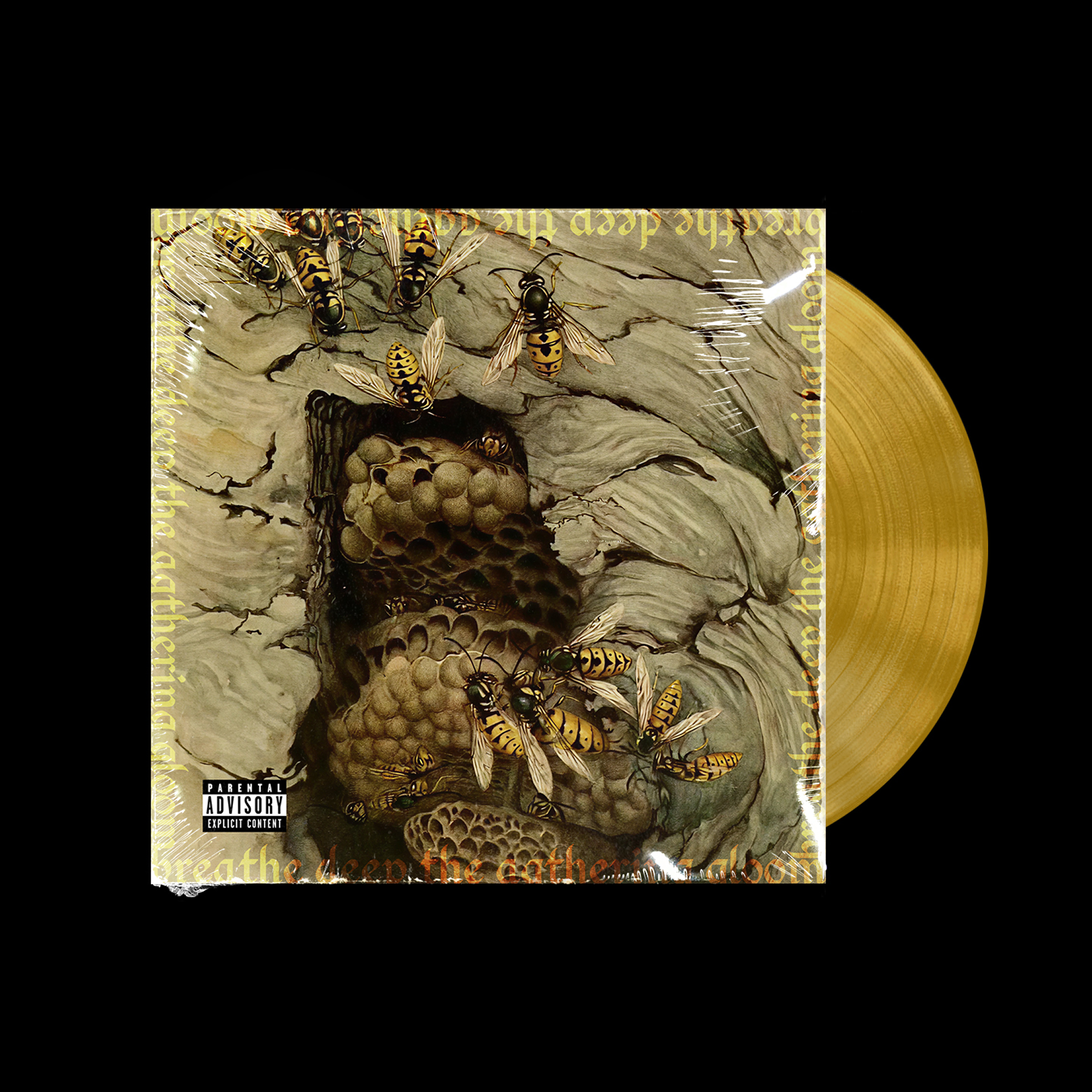 Vinyl-Record-and-Album-Cover-Mockup 1